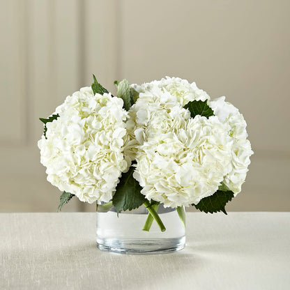 White Hydrangea Bouquet –  Day Dream Bokay Llc, Jonesborough TN