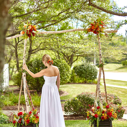 Arbor of Love Archway –  Day Dream Bokay Llc, Jonesborough TN