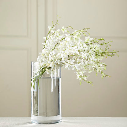 White Dendrobium Bouquet –  Day Dream Bokay Llc, Jonesborough TN